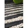 BORDURE CLIVE 2 METRES BOUTS SCIES SECTION 10X6CM